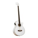 ELK ACOBE 4 Fretless White Sparkle 【ELK 春の感謝祭 プレゼントフェア】