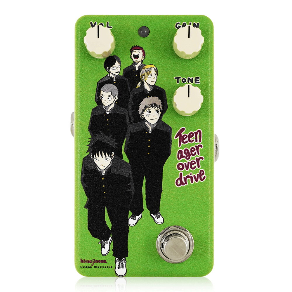 ANIMALS PEDAL Custom Illustrated / MAOD 羊の目。 Teen Ager Over Drive
