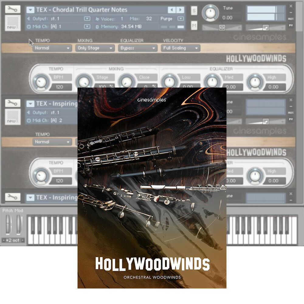 Cinesamples Hollywoodwinds 【ダウンロード版/メール納品】