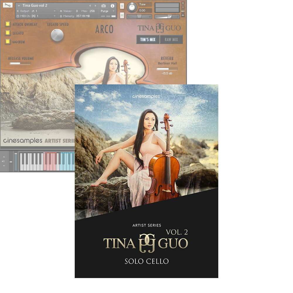 Cinesamples Tina Guo vol 2【ダウンロード版/メール納品】