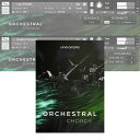 Cinesamples Orchestral Chords y_E[h/[[iz