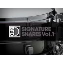 BFD BFD3 Expansion Pack: Signature Snares Vol.1y_E[h/[[iz