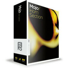 VIR2 MOJO HORN SECTION / BOX