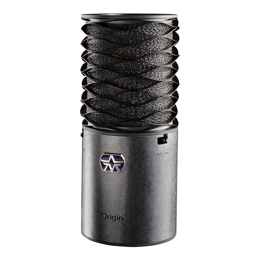 トピックスショッピングクレジット分割48回払いまで金利手数料0%！期間限定 〜2026年2月28日まで30,000円（税込）以上のお買い物が対象となります。本キャンペーンはクレジットカードでのお支払いは対象外となります。詳しくはお問い合わせください。アイテム説明1"のゴールド蒸着カプセルを搭載した高性能カーディオイドコンデンサーマイク。■主な特長・“Aston33”のメンバーにより厳選されたマイクカプセルを搭載し設計されたORIGINコンデンサーマイク・最新のステンレスメッシュニットテクノロジーを使用したポップフィルターを内蔵・柔軟性に優れ衝撃を吸収しマイクカプセルを保護する独自の波形スプリングヘッド・バックグラウンドノイズとフィードバックを最小限にするカーディオイド特性・マイクスタンドに直接取り付け可能なスタンドアダプタ内蔵・あらゆる環境に耐えうる堅牢なスチール筐体・UKでデザイン/設計スペック■タイプ：コンデンサーマイク■サイズ(W x H x D) ：125 x 54 x 54 mm■重さ：620 g(製品梱包時)納期について売却時は迅速に商品情報の削除を心掛けておりますが、ショッピングページの更新までにタイムラグが生じ、ご注文のタイミングによっては商品のご用意ができない場合がございます。あらかじめご了承くださいますようお願い申し上げます。あす楽対象商品以外、納期のご確認はご注文前に「商品についての問合わせ」よりお問い合わせください。