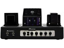 Ampeg AyO Portaflex Series PF-50T