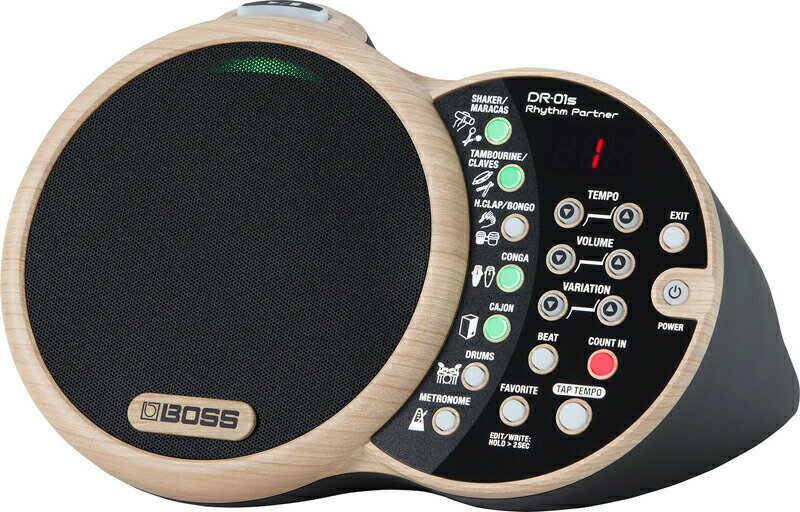 BOSS DR-01S Rhythm Partner