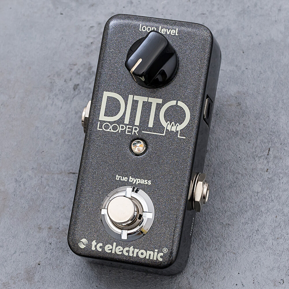 楽天市場】tc electronic ditto+ looper(ギター・ベース|楽器 楽天市場】tc electronic ditto+ looper(ギター・ベース|楽器