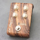 L.R.Baggs Align Series CHORUS