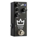 AGUILAR STORM KING DIST/FUZZAM[ GtFN^[