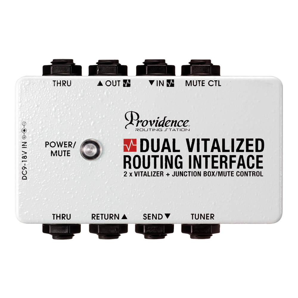 Providence DVI-1M DUAL VITALIZED ROUTING INTERFACE