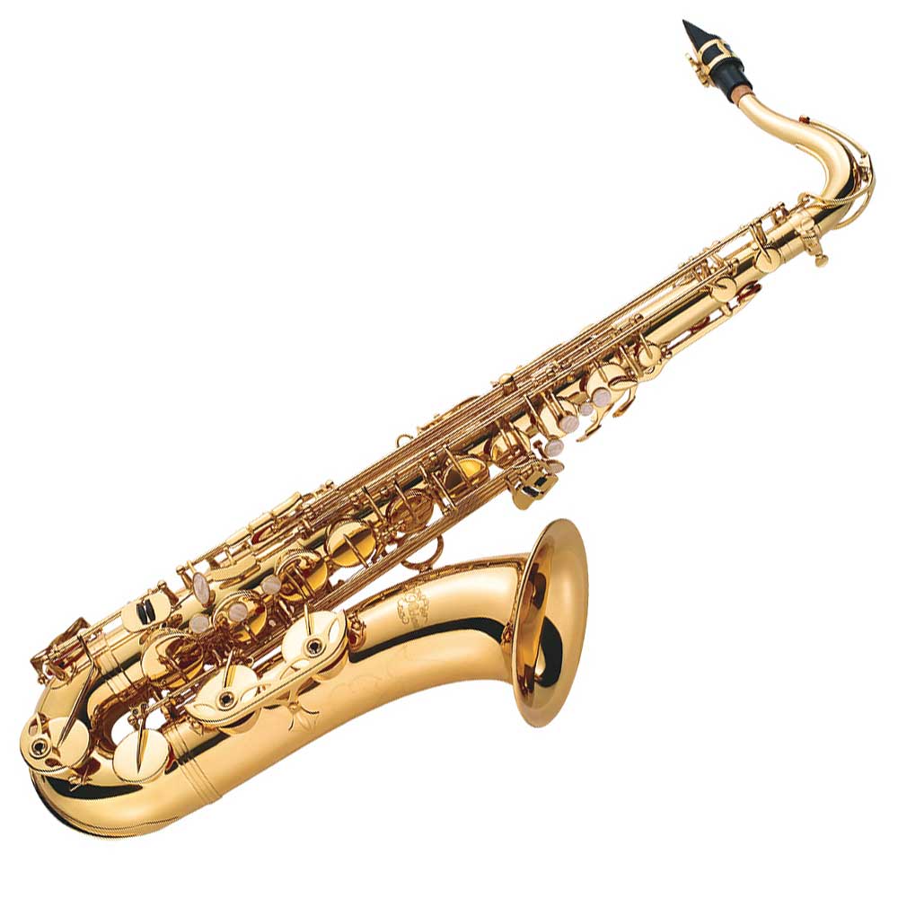 メーカー3年サポート付きJMichaelTN-900テナーサックス管楽器木管楽器