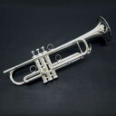 Brasspire Unicorn BPTR-750SS (B♭トランペット)