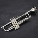 Brasspire Unicorn BPTR-770S (B♭トランペット)