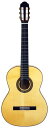 ARIA A-50F Flamenco Guitar