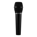 Earthworks SR117 【Vocal Micセール!20%OFF!~6/2】
