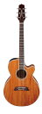 Takamine PTU131KC