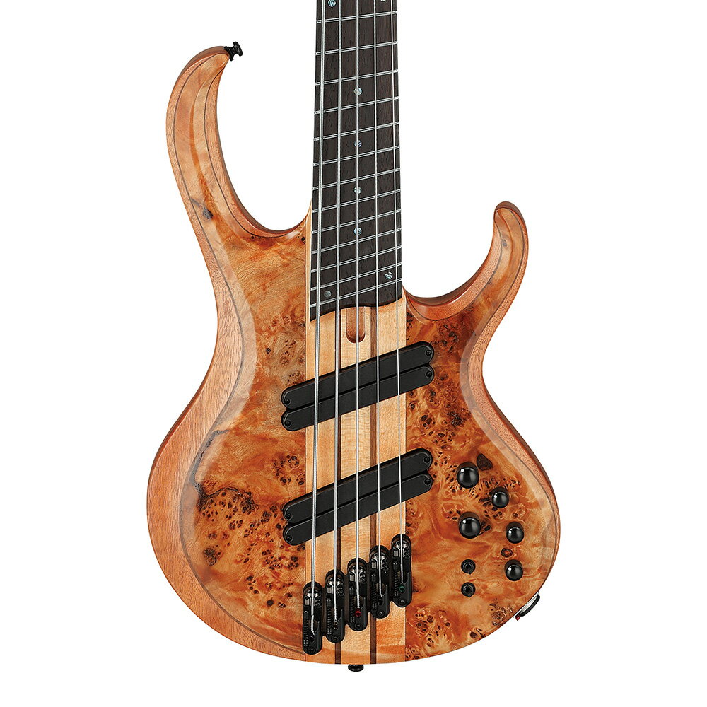 Ibanez BTB Workshop BTB805MS-FNL (Florid Natural Low Gloss)