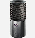 Aston Microphones アストン マイクロフォン Aston Origin (AST-ORIGIN)【あす楽対応_関東】