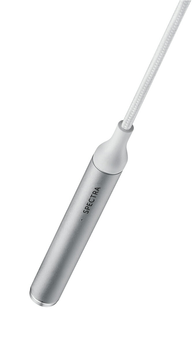 NextDrive SPECTRA (USB Type-A Silver)