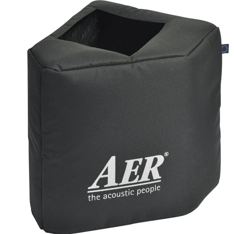 AER Compact60 4/Slope アコースティックアンプ