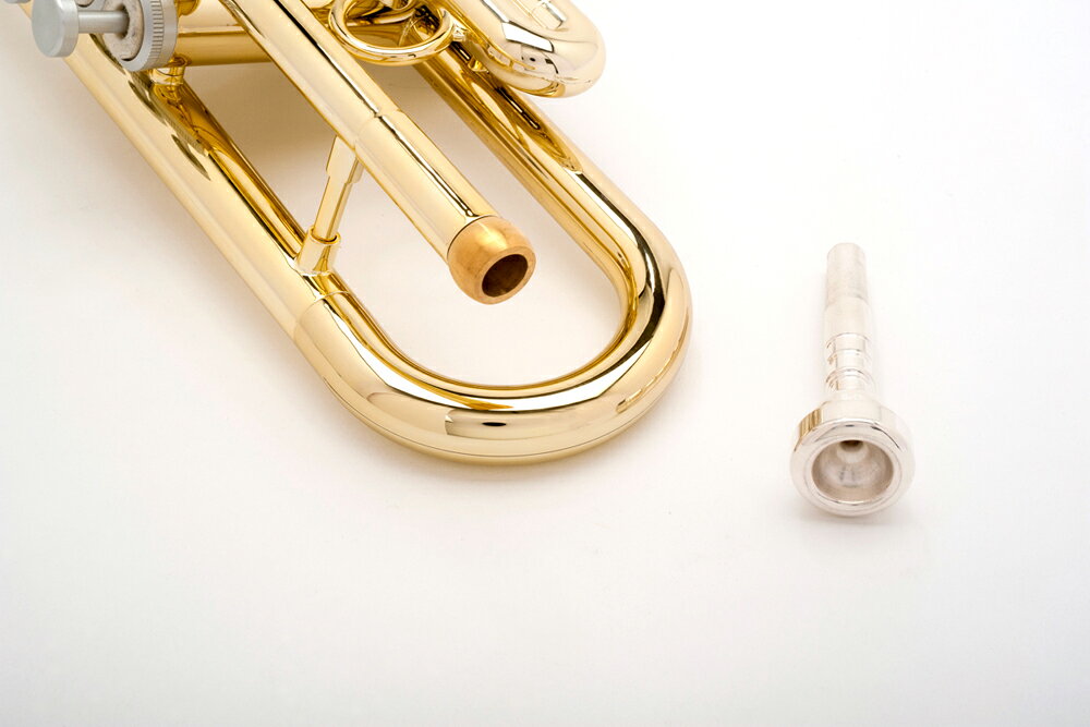 ミュージックランドKEY EASTのpInstruments プラスチック製トランペット PTRUMPET1HTG Gold【専用ケース付き】｜アングル2