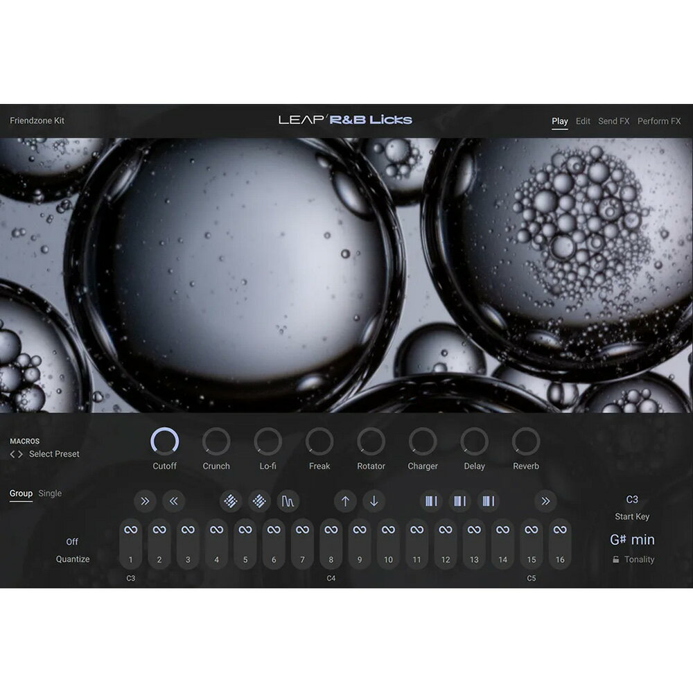 Native Instruments Leap Expansion - R&B Licks [メール納品]