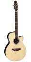 Takamine PTU141C