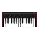 IK Multimedia iRig Keys 2 Mini (25鍵ミニサイズ)