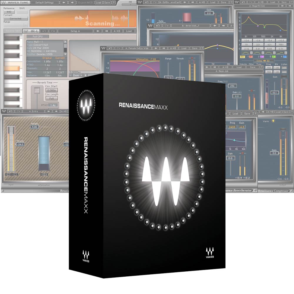 WAVES Renaissance Maxx [メール納品]