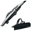 Roland AE-30 Aerophone Pro