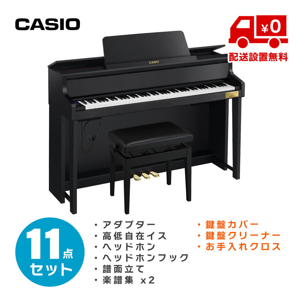 CASIO GP-310 BK お手入れ用品付き11点セット (標準配送設置無料)