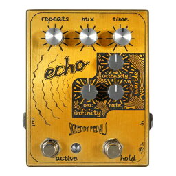 Skreddy Pedals Echo Infinity