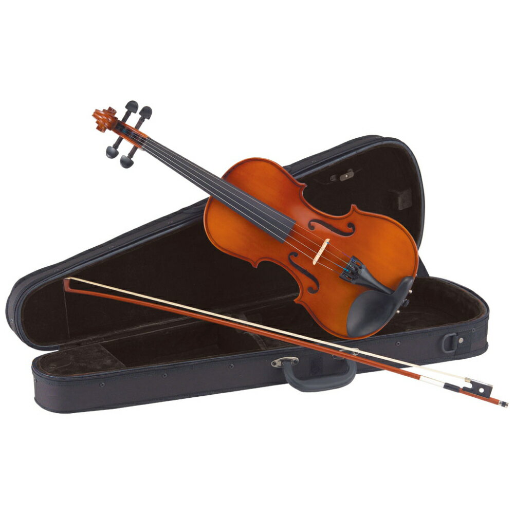 バイオリン セット Carlo giordano VS-1W