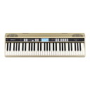 Roland JUSTY HK-100(2)