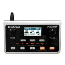 MOOER PE100(2)