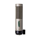 Royer Labs R-10