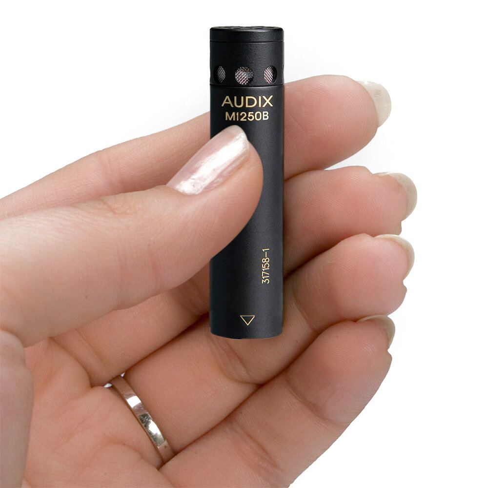 ミュージックランドKEY EASTのAUDIX M1250BO｜アングル2