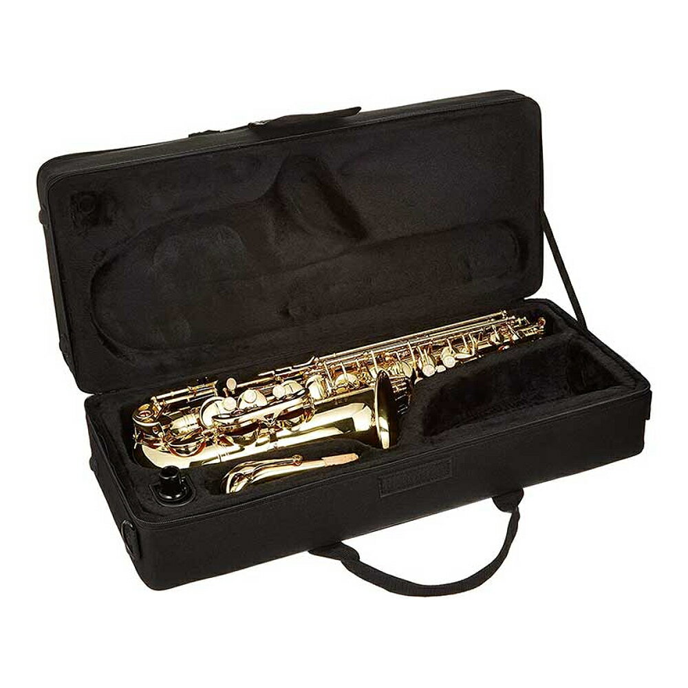 J.Michael AL-500 アルトサックス セット【メーカー3年サポート/メーカー検品後出荷】 3