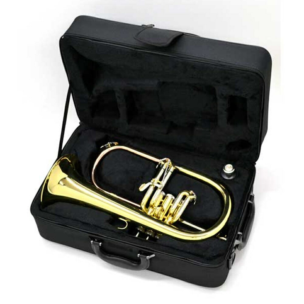 J.Michael FG-500 �ե�塼����ۥ�� ���åȡڥ᡼����3ǯ���ݡ���/�᡼�������ʸ�в١�