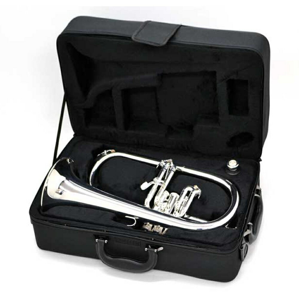 J.Michael FG-550S �ե�塼����ۥ�� ���åȡڥ᡼����3ǯ���ݡ���/�᡼�������ʸ�в١�