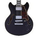 D'Angelico Premier Mini DC Black Flake