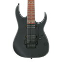 Ibanez RG Standard RG7420EX-BKF (Black Flat)