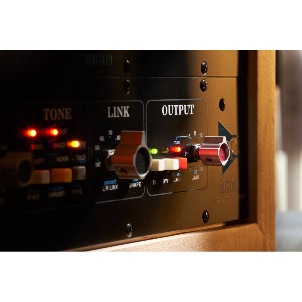 UNIVERSAL AUDIO API 2500 Bus Compressor [�᡼��Ǽ��][�᡼�����ץ��⡼����� 12/31�ޤ�]