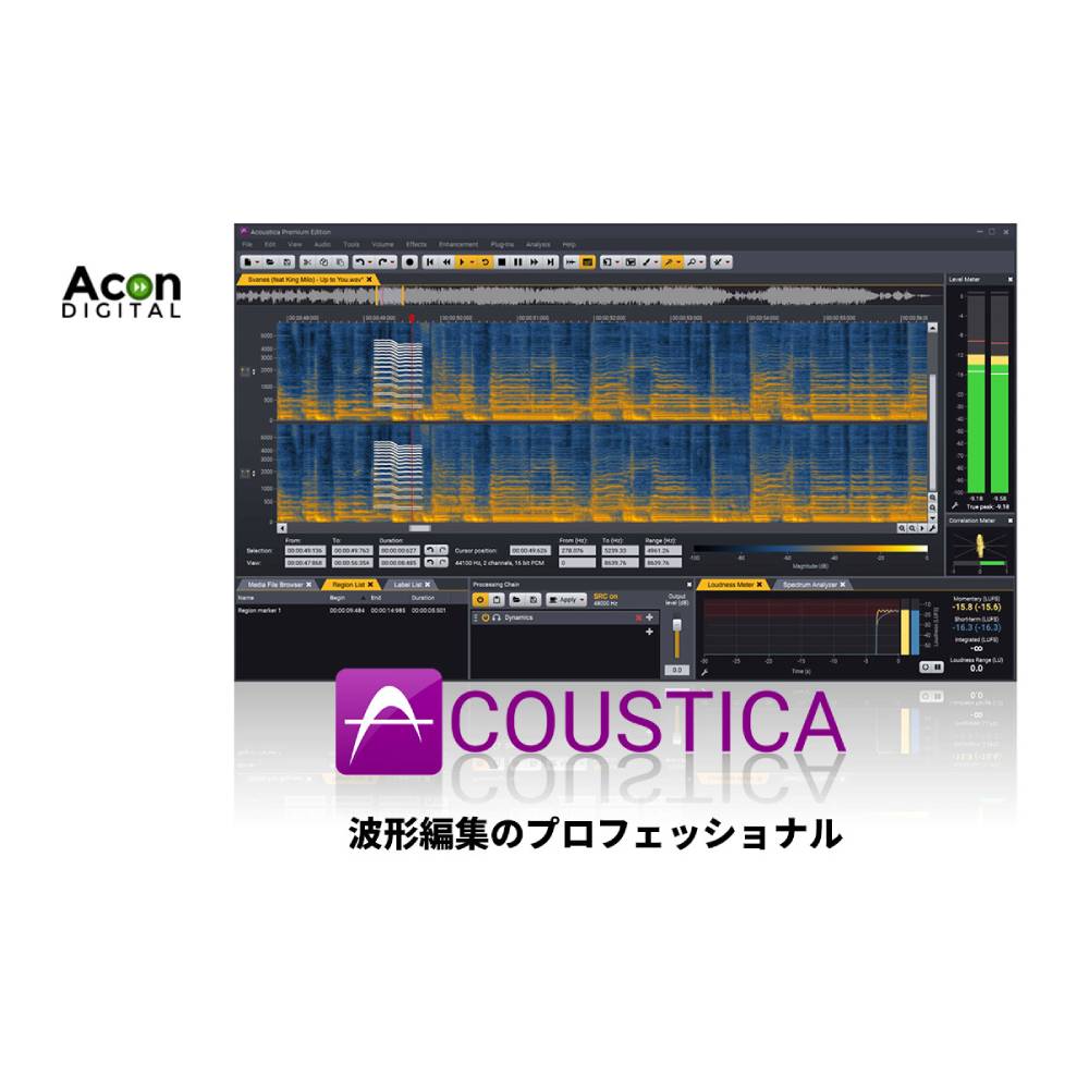Acon Digital Acoustica Standard Edition [メール納品]