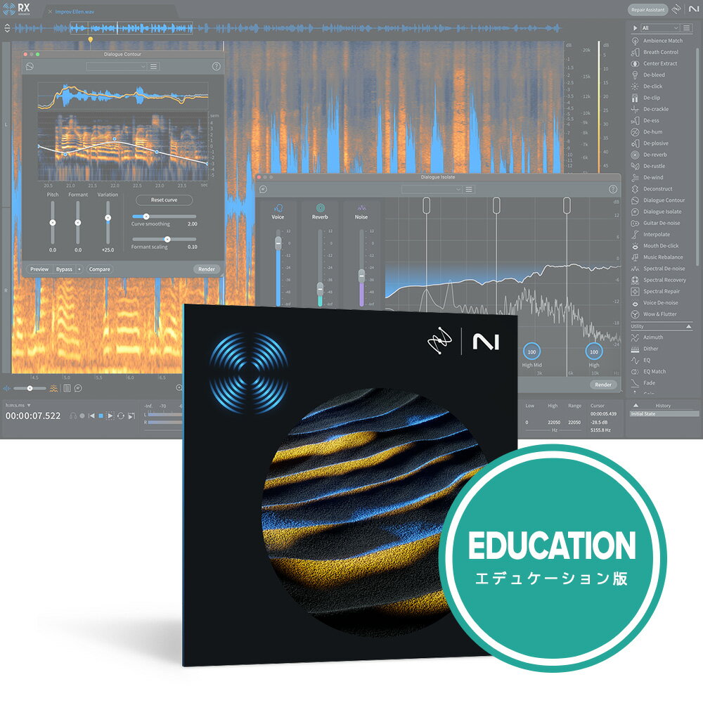 iZotope RX 11 Advanced EDU [メール納品]