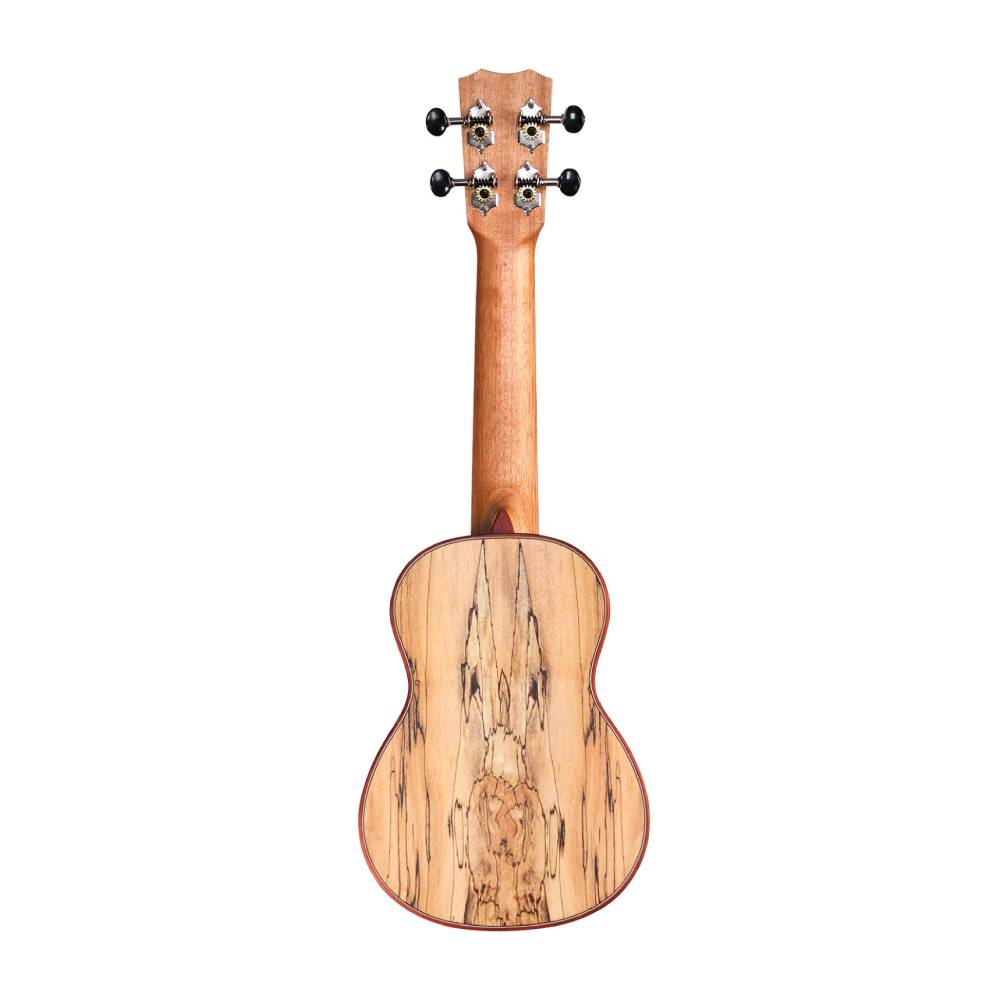 Cordoba 24S Spruce / NATURAL