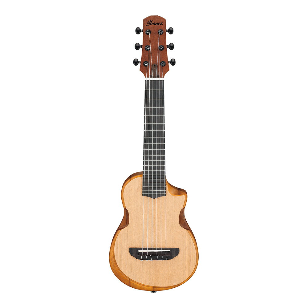 ■5,000円OFFクーポン配布中 Ibanez AUP10N-OPN (Open Pore Natural)