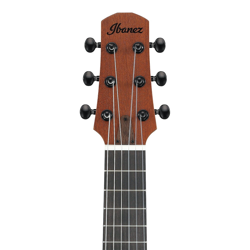 ■5,000円OFFクーポン配布中 Ibanez AUP10N-OPN (Open Pore Natural)