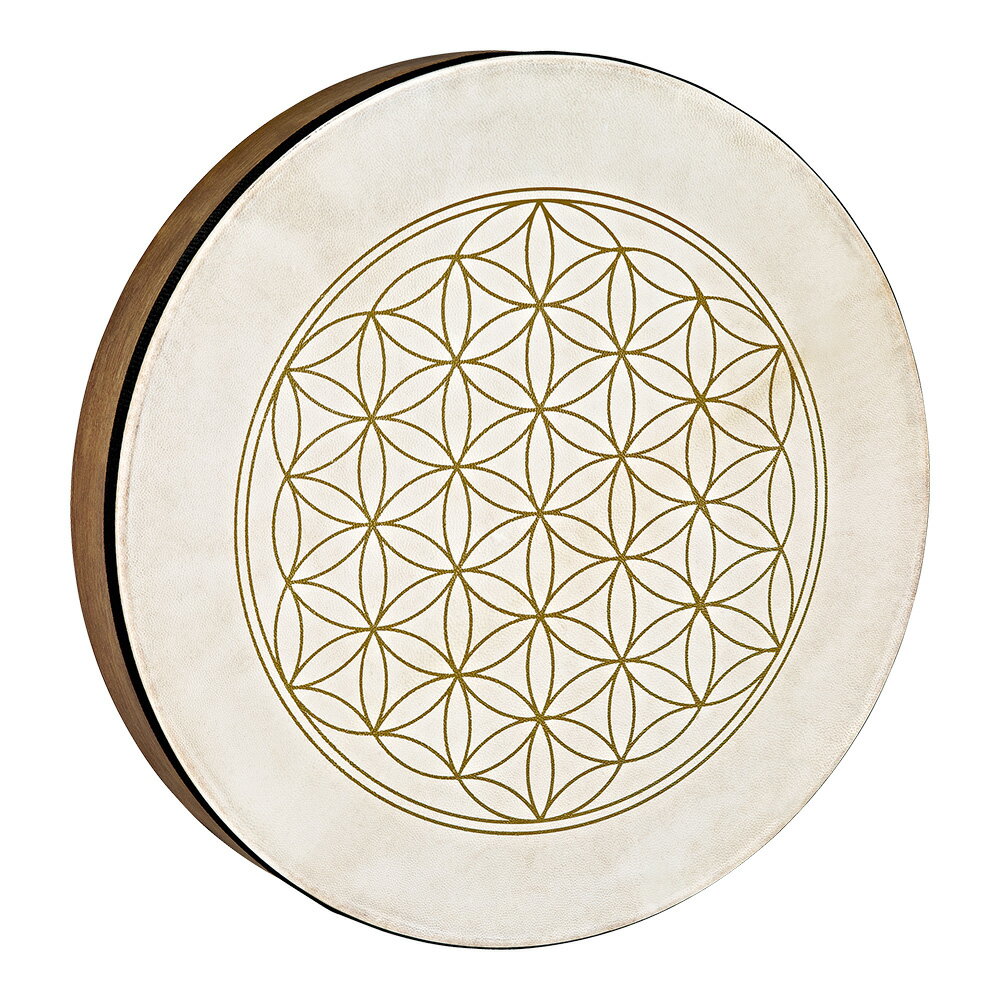 MEINL Sonic Energy 16