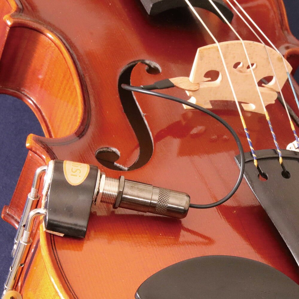 MiSi Acoustic Trio Vio